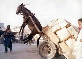 too heavy a load