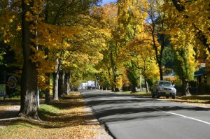 Gorgeous autumn colours in Arrowtown, Cebtral Otago.
