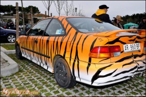 tiger honda