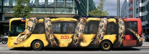 zoobus