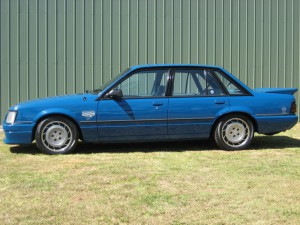 VK Blue Meanie