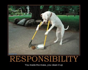 responsibility2