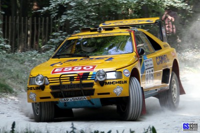 Dakar Rally Peugeot 405