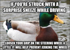 sneeze duck