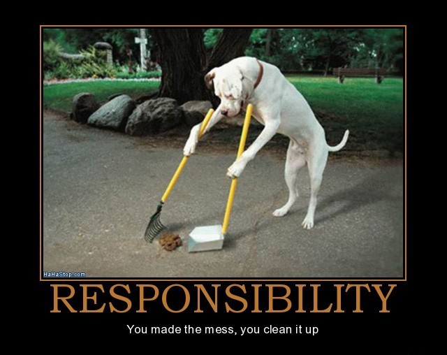 responsibility2