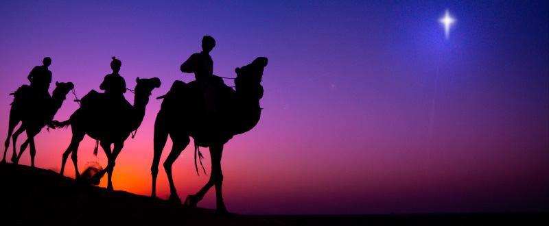 I told you we had to follow the star - this camel might have great 4x4 ability but it hasn't got GPS.