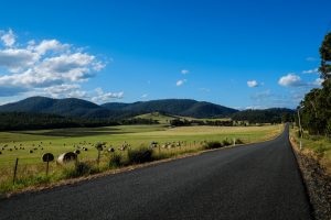 Driving on road easter long weekend