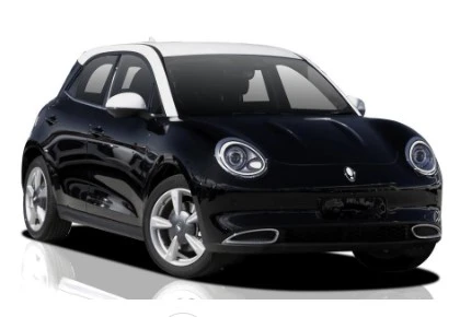 2023 GWM Ora in black with white roof.